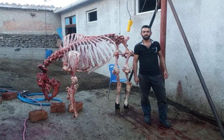Fotoğraf çektirdi sosyal medyada olay oldu