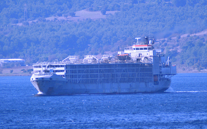 Şarbon iddiasına sebep olan gemi Çanakkale’den geçti!