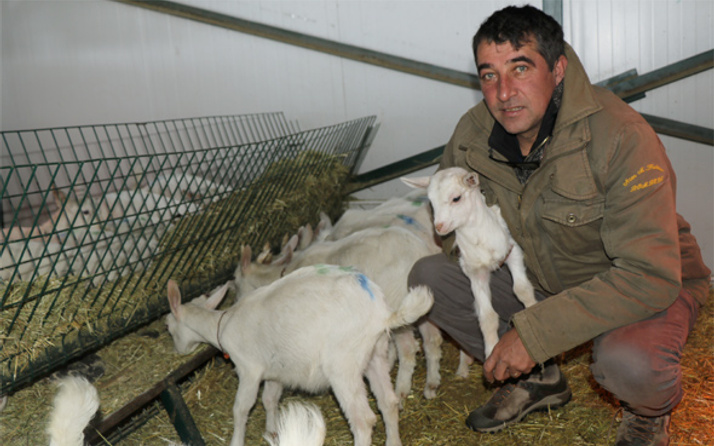 Kravatlı insanlardan bıktı keçi çiftliği kurdu 