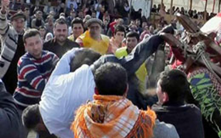 AK Partili Başkan'ın deveden düşüşü (video)