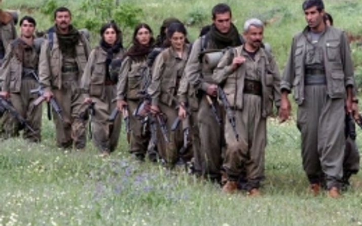 PKK'lı silah bırakırsa bu hakkı alacak!