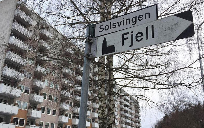 Norveç'te bazı sokaklara Türkçe isim konulması önerildi