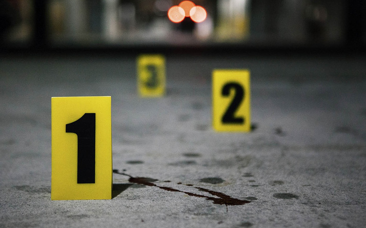 Afyonkarahisar'da iki kız kardeş başlarından vurulmuş halde ölü bulundu