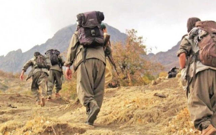 Şanlıurfa'da 3 PKK'lı terörist yakalandı