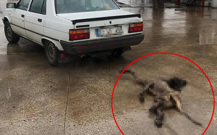 Edirne'de köpeği otomobilin arkasında sürükleyen sürücüye 1552 TL ceza