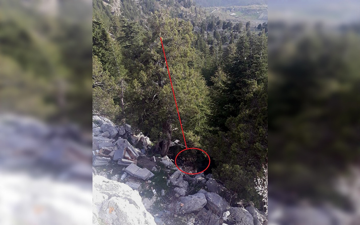 Antalya'da fotoğraf çekmek için çıktığı ağaçtan düşüp öldü