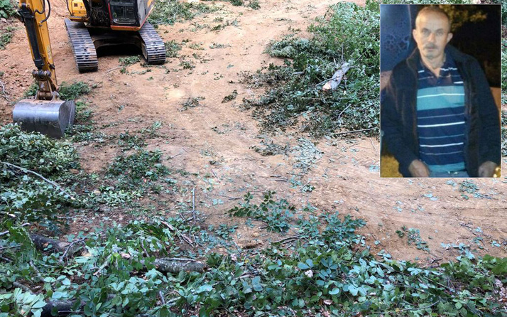 Bursa'da mevsimlik işçi kestiği ağacın dalının başına düşmesi sonucu öldü