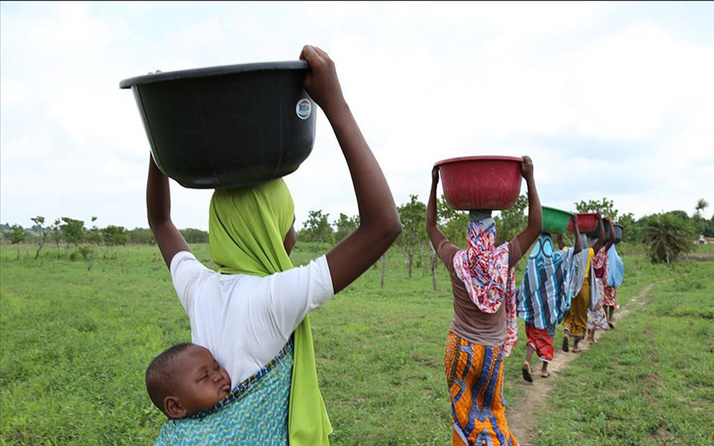 Nijeryalı kadınlar ekmek paralarını kafalarında yük taşıyarak kazanıyor