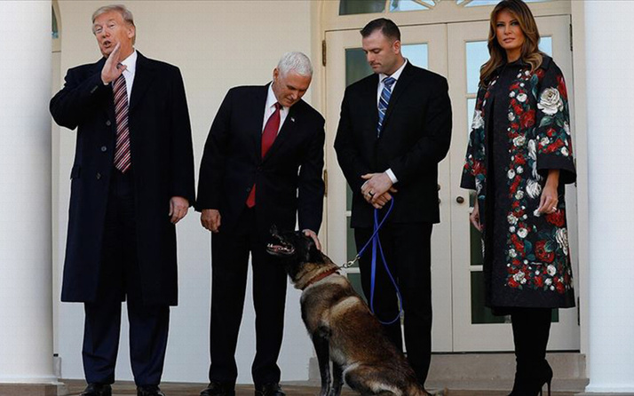 Trump'tan Bağdadi operasyonunda görevli köpeğe plaket ve madalya