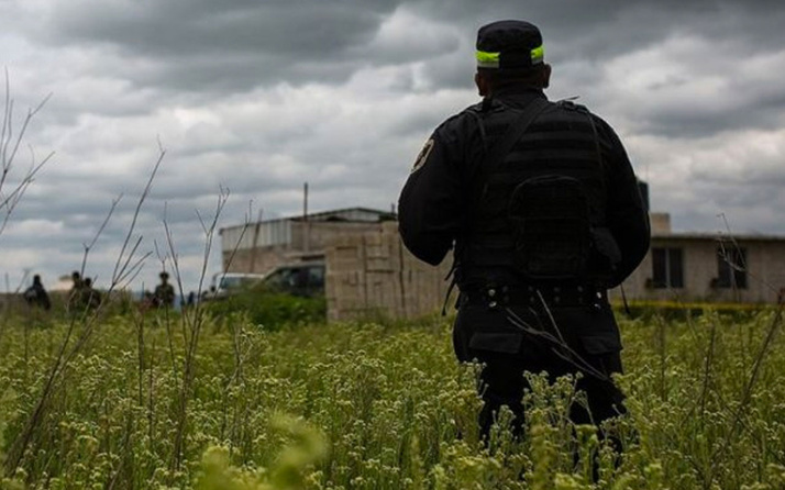 Meksika'da bir çiftlikte 14 ceset bulundu