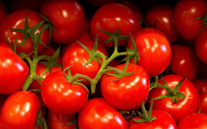 Rusya, Antalya ve İzmir'den domates ile biber ithalatı yasağını kaldırdı