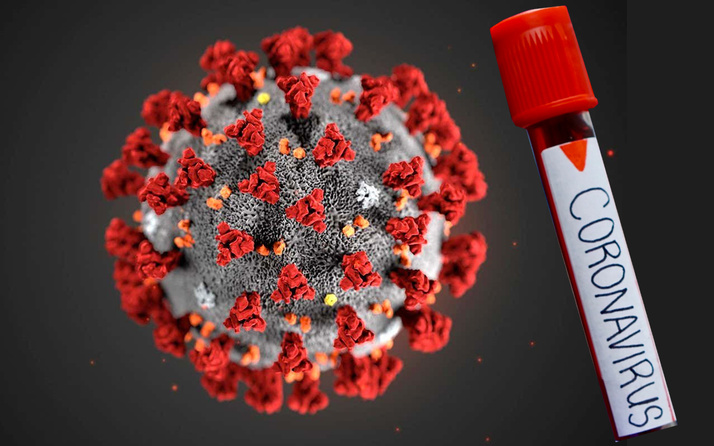 Çin koronavirüs salgınının boyutlarını örtbas etti iddiası