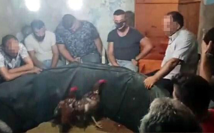 Aydın'da evde horoz dövüştüren 19 kişiye ceza yağmuru