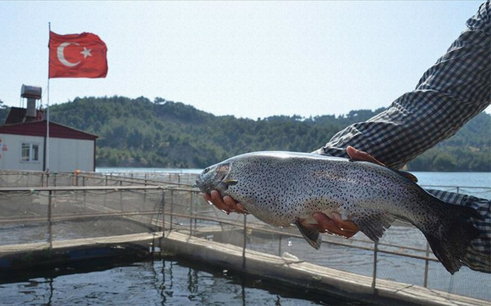 Denizi olmayan Kahramanmaraş'tan 25 milyon dolarlık balık ihracatı