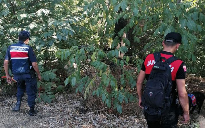 Muğla'da yürüyüşe çıktığı ormanda kaybolan Şevkinaz Zençili aranıyor