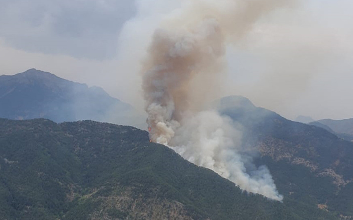 Osmaniye'de orman yangını! Alev alev yanıyor