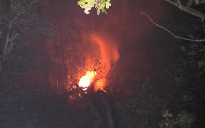 Karabük'te yıldırımın düştüğü ormanda yangın çıktı