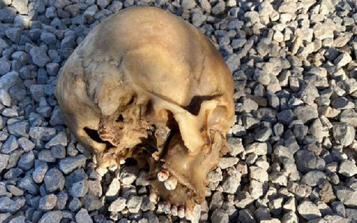 Muğla'da köpeklerin bulduğu kafatası olayı! 4 şüpheli gözaltında