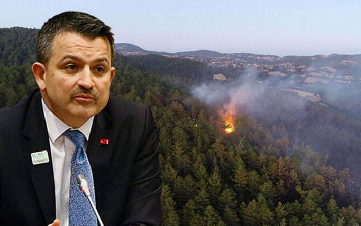 Hatay'da yanan orman yeniden ağaçlandırılacak Pakdemirli açıkladı!