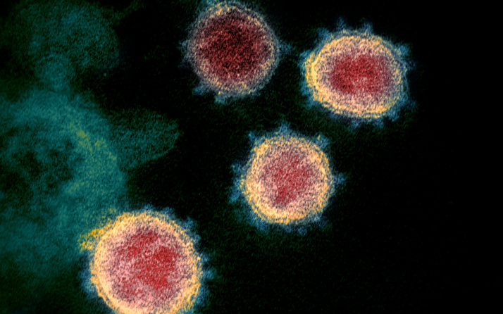 Koronavirüsün bir mutasyonu salgını daha bulaşıcı hale getirmiş olabilir