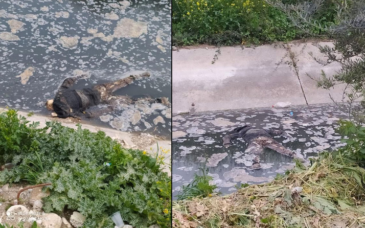 Mersin'de su kanalında erkek cesedi bulundu