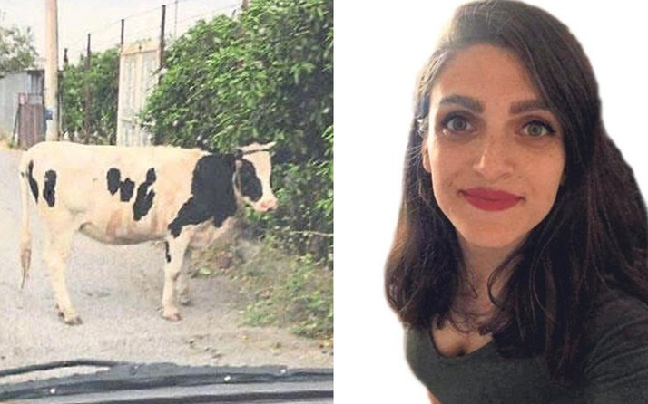 İzmir'de paylaştığı inek fotoğrafı genç kadının başını yaktı! Bakın ne ceza aldı
