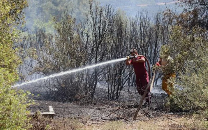 Antalya, Elazığ ve Denizli'de orman yangını! Müdahale sürüyor