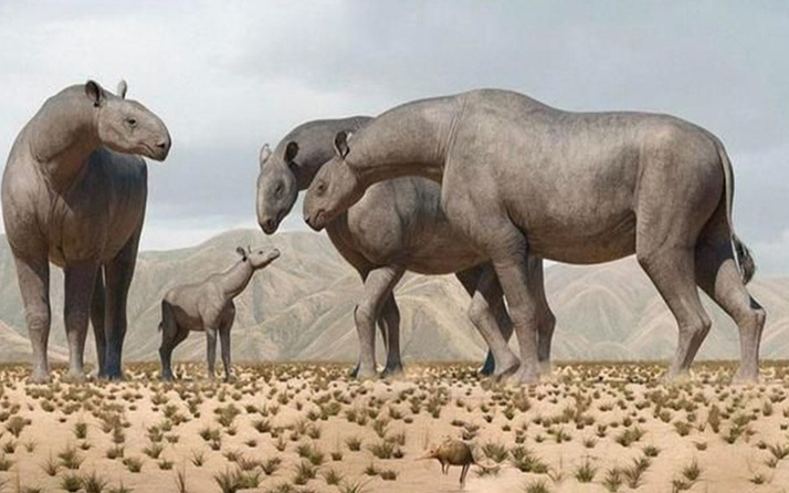 Bilim insanları açıkladı! Yeni tür keşfedildi: 4 fil ağırlığında 7 metre uzunluğunda
