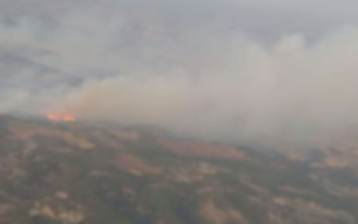 Erzincan'da çıkan orman yangını ekiplerin müdahalesiyle kontrol altına alındı
