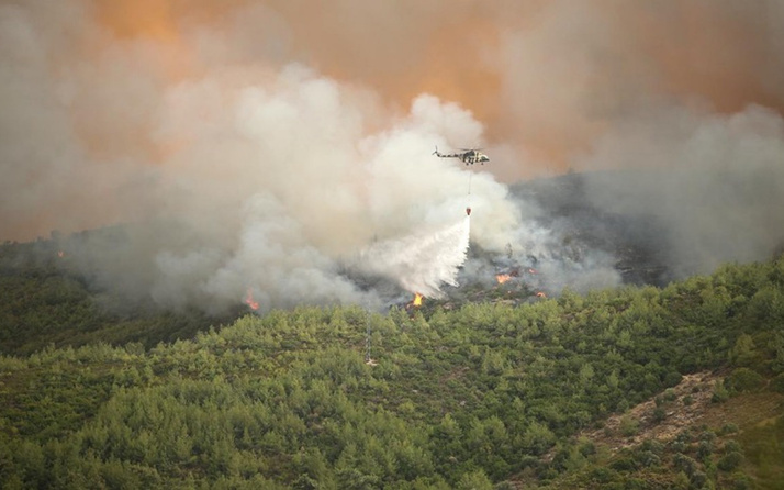 Çok acı rakam! Son yangınlarla birlikte yıllık ortalamanın 9 katı ormanımız kül oldu