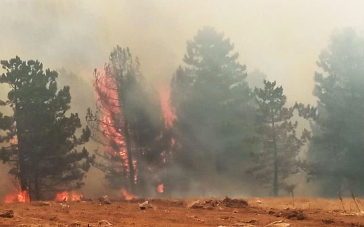 Orman yangınlarından etkilenen bölgelere 72,5 milyon lira nakdi yardım gönderildi
