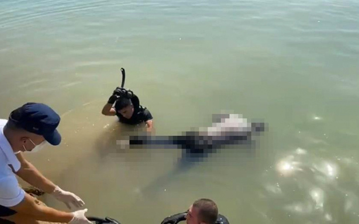 Mersin'de balıkçı barınağında ceset bulundu