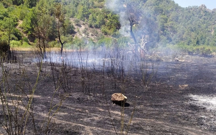 Mersin'de çalılıkta çıkan yangın ormana sıçramadan kontrol altına alındı