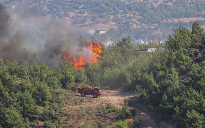 Adana'da orman yangını çıktı! Alevlere havadan ve karadan müdahale ediliyor