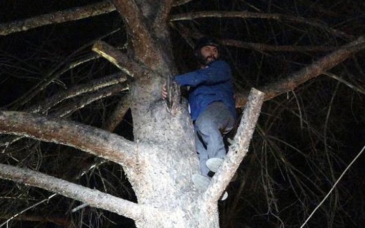 Burdur'da türbülansa kapılan paraşütçü ağaç üstüne iniş yaptı itfaiye kurtardı
