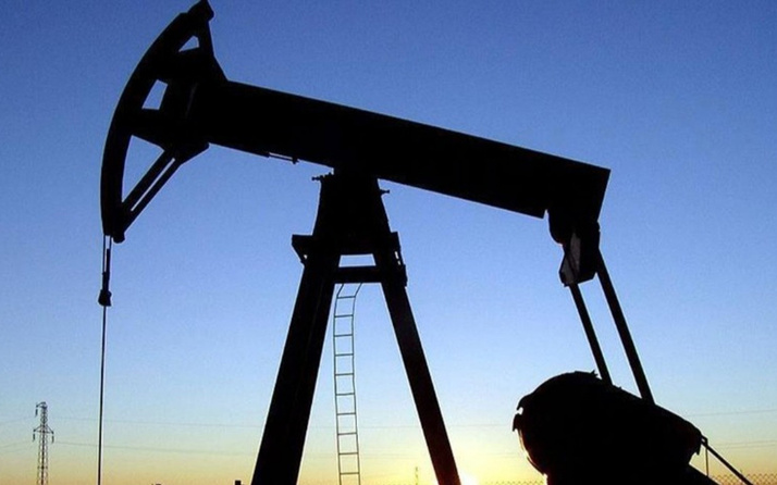 TPAO'nun iki petrol işletme ruhsatının süresi uzatıldı
