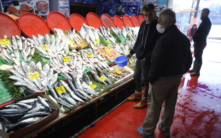İstanbul'da tezgahlar lüferle doldu! Hamsi, istavrit, palamut cep yakıyor: İşte balık fiyatları...