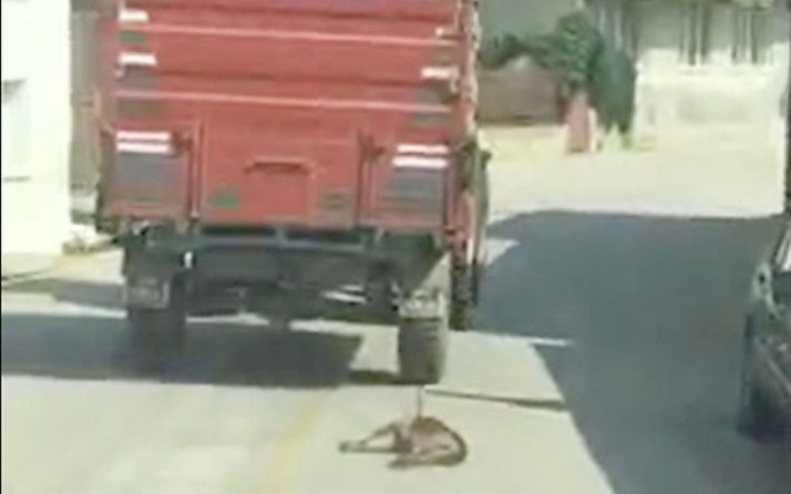 Traktörün römorkuna bağladığı köpeği metrelerce sürükledi