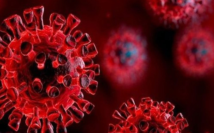 Koronavirüs Omicron varyantından ölüm sayıları ne? DSÖ'den açıklama