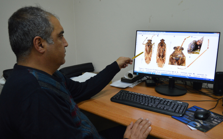 Mardin'de keşfedilen böceğe eski bakanın adı verildi