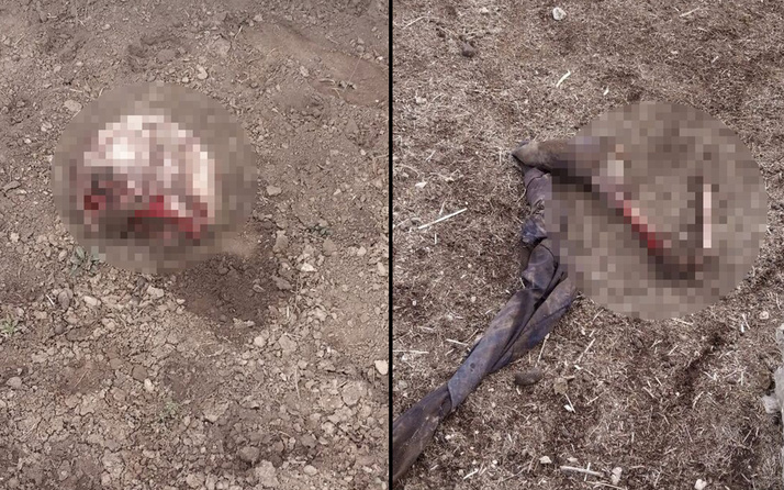 Van'ın Özalp ilçesinde parçalanmış ceset bulundu