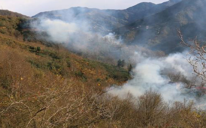 Trabzon'da 4 noktada orman yangını başladı! Ekipler bölgede