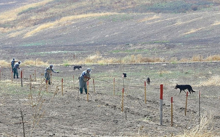 Ermenistan askerleri, sınırdaki Azerbaycan mevzilerine ateş açtı