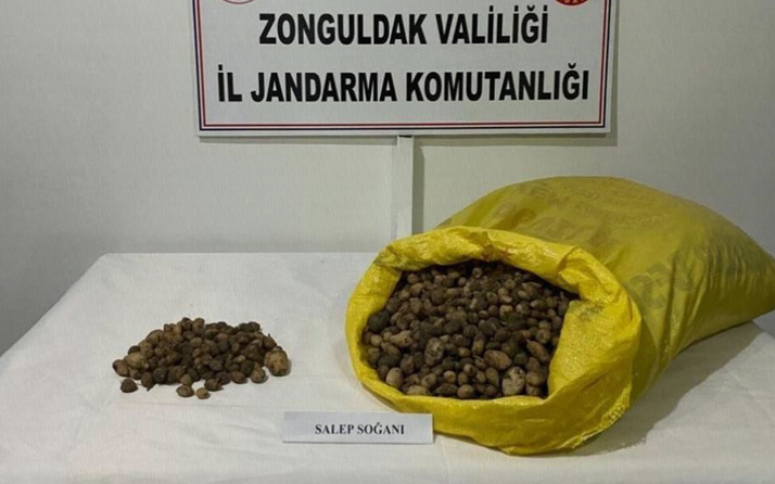 Zonguldak'ta 40 kilo salep soğanı için 218 bin lira ceza yediler