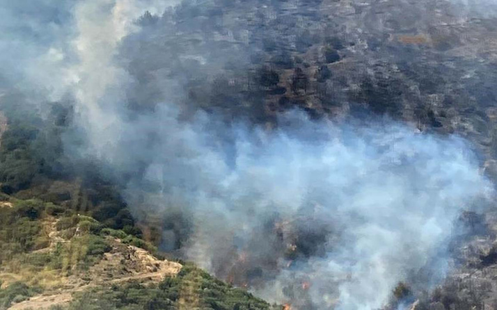 İzmir'de ormanlık alanda yangın 2,5 saatte kontrol altına alındı