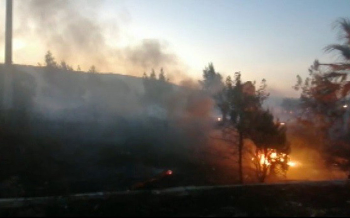 İzmir'de orman yangını! Ormanı yakan kişi gözaltına alındı "keyfimden yaktım' dedi
