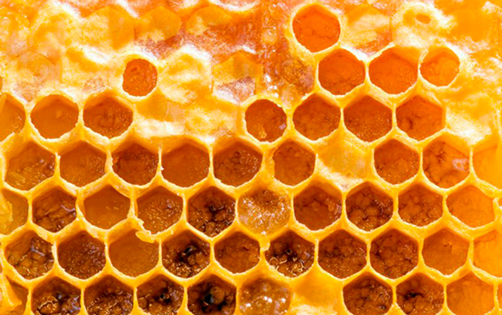 Her şeye iyi gelen 'propolis' mucizesi