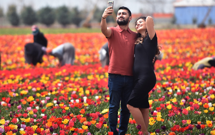 Konya Ovası'nda turistler fotoğraf için sıraya giriyor