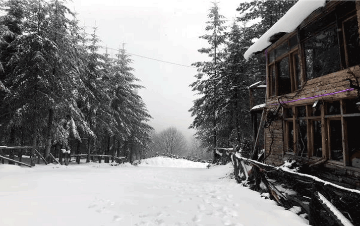 Nisan ayında yağan kar şaşırttı! Yollar kapanıyor