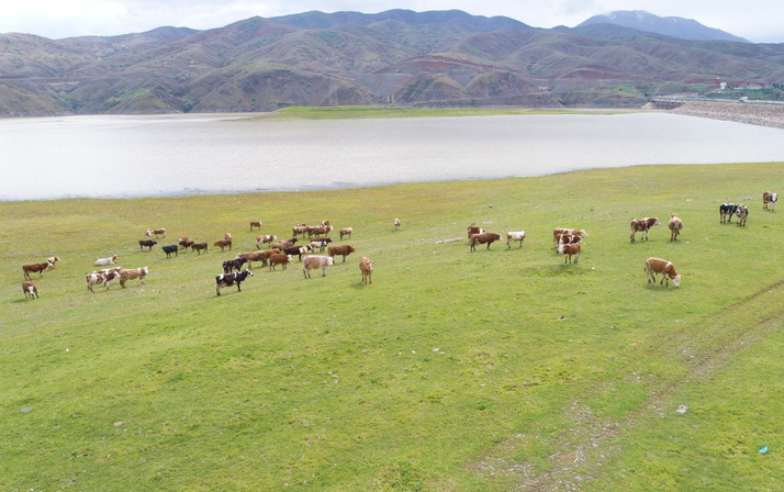 5 yıl önce kuruyan Murat Nehri'nin son hali hayranlık uyandırdı